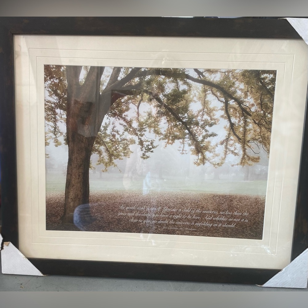 NEW Inspirational Desiderata Framed Print Art Wall Picture Universe  18”x20”